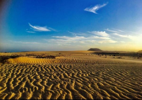 Desert of love